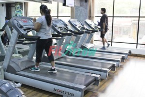 Universal Gym- DLF Phase 1,M G Road